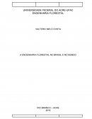 Historia da engenharia florestal no brasil e no mundo