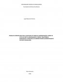 TRAGTENBERG (BUROCRACIA E IDEOLOGIA) E GUERREIRO RAMOS (ADMINISTRAÇÃO E CONTEXTO BRASILEIRO)