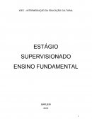 INTERMEDIAÇÃO DA EDUCAÇÃO CULTURAL ESTÁGIO SUPERVISIONADO ENSINO FUNDAMENTAL