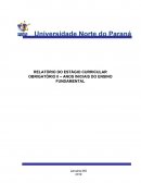 RELATÓRIO DO ESTÁGIO CURRICULAR OBRIGATÓRIO II – ANOS INICIAIS DO ENSINO FUNDAMENTAL