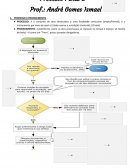 Resumo Processual Penal II