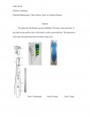 Toothbrush Analysis - OralB