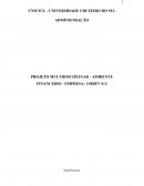 PROJETO MULTIDISCIPLINAR - AMBIENTE FINANCEIRO - EMPRESA: AMBEV S/A