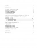 Monografia Responsabilidade Civil Ambiental
