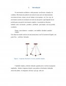 Relatório de física - experimento de pêndulo simples