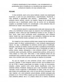 A hodierna classificação do meio ambiente, o seu remodelamento e a problemática sobre a existência ou a inexistência das classes do meio ambiente do trabalho e do meio ambiente misto