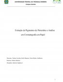 Extração de Pigmentos de Pimentões e Análise em Cromatografia em Papel