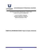 A TEMÁTICA INTERDISCIPLINAR: Papel do Gestor Ambiental