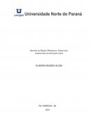 ESTÁGIO CURRICULAR OBRIGATÓRIO I– 100horas