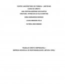 TRABALHO DIREITO EMPRESARIAL I EMPRESA INDIVIDUAL DE RESPONSABILIDADE LIMITADA- EIRELI