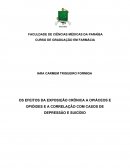 OS EFEITOS DA EXPOSIÇÃO CRÔNICA A OPIÁCEOS E OPIÓIDES E A CORRELAÇÃO COM CASOS DE DEPRESSÃO E SUICÍDIO