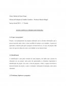 TEXTO CAPÍTULO PROJETO DE PESQUISA