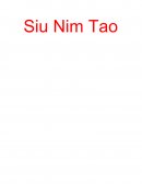 O Nome e Seu Significado: Siu Nim Tao