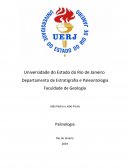 Departamento de Estratigrafia e Paleontologia