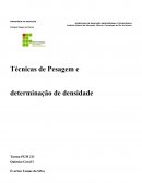 Técnicas de Pesagens e Determinação de Densidade