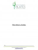 Os Pilates Aplicado a Lombalgia