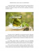REMÉDIO NATURAL: O QUE É E QUAL A SUA IMPORTANCIA?