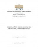 A DETERMINAÇÃO DE COBRE EM CACHAÇA POR ESPECTROMETRIA DE ABSORÇÃO ATÔMICA