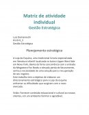 A Matriz de Atividade Individual Gestão Estratégica