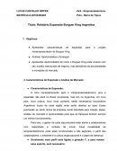 Relatório Expansão Burguer King Argentina