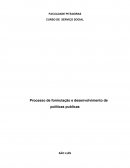 Processo de Formulação e Desenvolvimento de Políticas Publicas