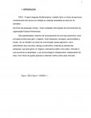 PIM II - Projeto Integrado Multidisciplinar