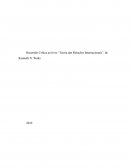 Recensão critica “Teoria das Relações Internacionais”, de Kenneth N. Waltz