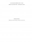 Resenha crítica - Ensaios de Sociologia (capítulo burocracia)
