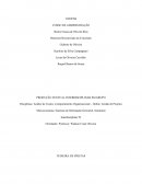 PRODUÇÃO TEXTUAL INTERDISCIPLINAR EM GRUPO Disciplinas: Análise de Custos, Comportamento Organizacional – Online, Gestão de Projetos Microeconomia, Sistemas de Informação Gerencial, Seminário Interdisciplinar IV