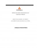 SISTEMA DE ENSINO ANHANGUERA-EAD CURSO DE NUTRIÇÃO