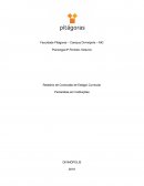 Relatório de Conclusão de Estágio Curricular Psicanálise em Instituições
