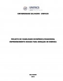 PROJETO DE VIABILIDADE ECONÔMICA-FINANCEIRA: EMPREENDIMENTO BIOGÁS PARA GERAÇÃO DE ENERGIA