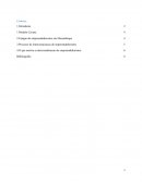 O Estagio do Empreendedorismo em Mocambique