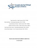 PROJETO MULTIDISCIPLINAR AMBIENTE COMPETITIVO
