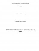 Relatório de Estagio Supervisionado em Fisioterapia em Saúde da Mulher
