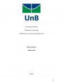 Faculdade de Comunicação Departamento de Comunicação Organizacional Megarromântico