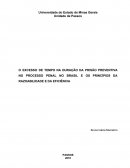 MONOGRAFIA: O EXCESSO DE TEMPO NA DURAÇÃO DA PRISÃO PREVENTIVAS E OS PRINCÍPIOS DA RAZOABILIDADE E EFICIÊNCIA