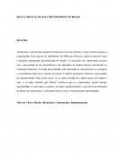 REGULAMENTAÇÃO DAS CRIPTOMOEDAS NO BRASIL