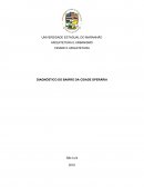 DIAGNÓSTICO DO BAIRRO DA CIDADE OPERÁRIA