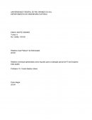 Relatório individual apresentado como requisito para a avaliação parcial de P3 da Disciplina ENG 04453.