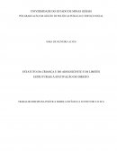 ESTATUTO DA CRIANÇA E DO ADOLESCENTE E OS LIMITES ESTRUTURAIS À EFETIVAÇÃO DO DIREITO