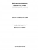 RELATÓRIO DO ENSAIO DE COMPRESSÃO