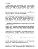 As Drogas Ilícitas