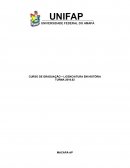Análise do artigo Formação Histórica Descrição e Análise do Processo de Formação Histórica do Amapá