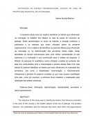 A MOTIVAÇÃO NO ESPAÇO ORGANIZACIONAL: ESTUDO DE CASO DA PREFEITURA MUNICIPAL DE IPATINGA/MG