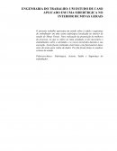 ENGENHARIA DO TRABALHO UM ESTUDO DE CASO APLICADO EM UMA SIDERÚRGICA NO INTERIOR DE MINAS GERAIS