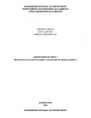 Movimento de um corpo em queda e conservação de energia mecânica.