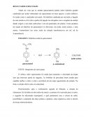 A Hidrólise do Paracetamol