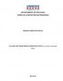 O ALUNO COM TRANSTORNO DO ESPECTRO AUTISTA: a inclusão na educação infantil.