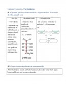 Lista de Exercício  Carboidratos 